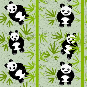 Panda Bears among Bamboo