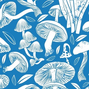 Large jumbo scale // Delicious Autumn botanical poison // bluebell blue background white mushrooms fungus toadstool wallpaper