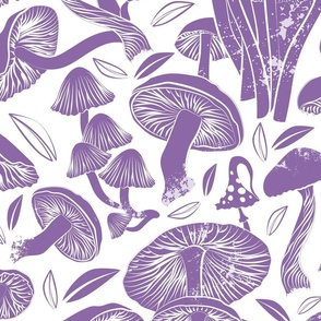 Large jumbo scale // Delicious Autumn botanical poison // white background amethyst purple mushrooms fungus toadstool wallpaper