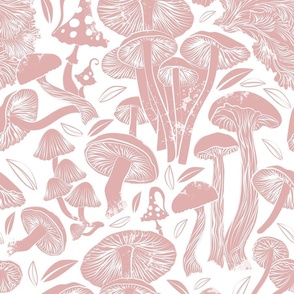 Normal scale // Delicious Autumn botanical poison // white background  blush pink mushrooms fungus toadstool wallpaper