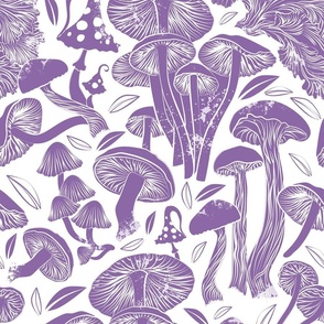 Normal scale // Delicious Autumn botanical poison // white background amethyst purple mushrooms fungus toadstool wallpaper