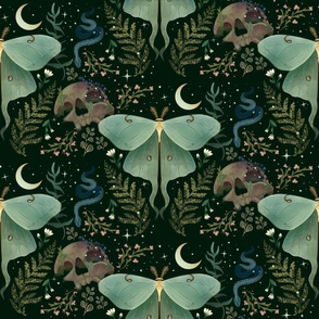 Luna Moth and Skull