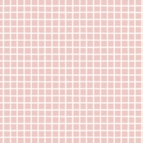 Simple Gingham Check Pattern Coordinate For Fleur de Lis Pattern Pink White Smaller Scale