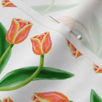 Coral Colored Tulip Damask