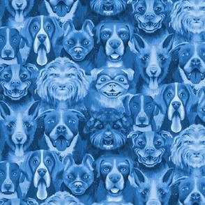 Field Trip Dogs in Blue