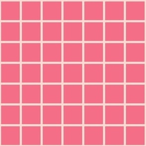 Retro Checkerboard Large Pink and Peach BelindaBDesigns