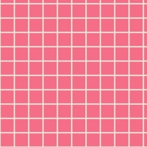 Retro Checkerboard Small Pink and Peach BelindaBDesigns