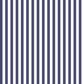 Bengal Stripes Twilight Blue