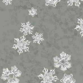 Snowflake Textured Blender (Large) - White on Pewter Gray  (TBS204)