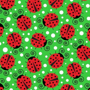 Ladybug Summer Picnic