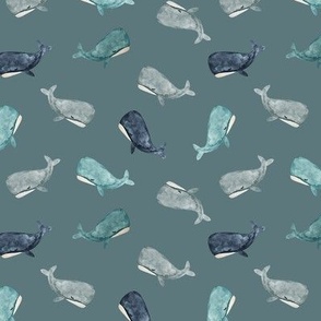 small jonah's whale toss // all blues and grays on 175-9