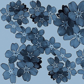 des fleurettes bleu pastel imitation jean en pagaille sur fond bleu ciel