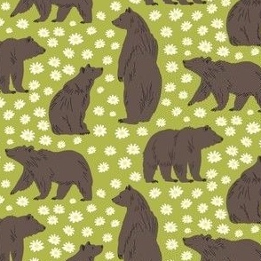 Bears in the Daisies, Avocado Green