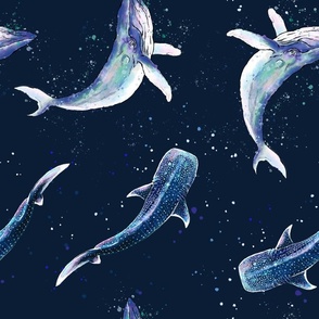 whales in a deep blue ocean