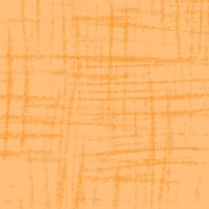 Orange  Light Linen Texture | Matching Preppy Poodles Collection 