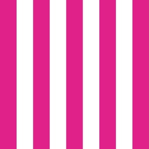 Medium scale Barbie pink stripe on a white background