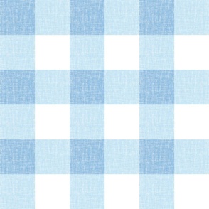 sky baby blue _gingham with woven linen texture oversized 3in