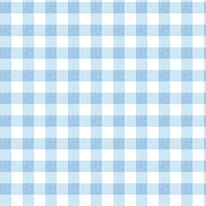 SMALL LIGHT BLUE  GINGHAM _1in 