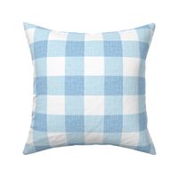 BABY BLUE GINGHAM IN WOVEN LINEN TEXTURE 2Inch