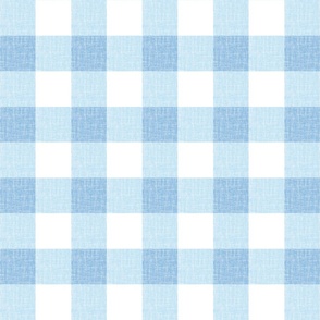BABY BLUE GINGHAM IN WOVEN LINEN TEXTURE 2Inch