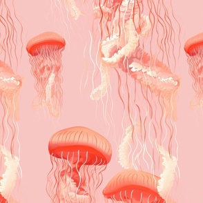 Pinkish Coral Jellyfish on Pink
