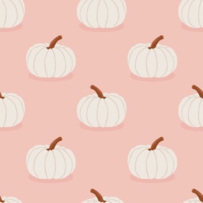 Heirloom Pumpkin | Lg on Pink