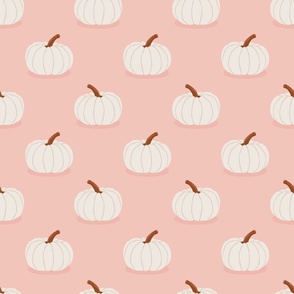 Heirloom Pumpkin | Md on Pink