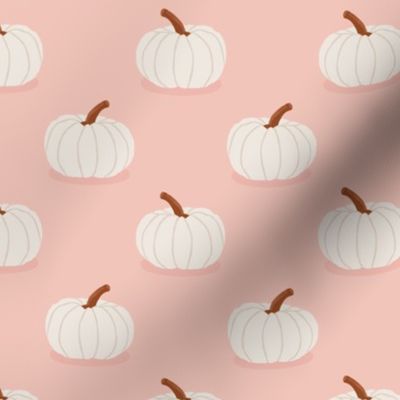Heirloom Pumpkin | Sm on Pink