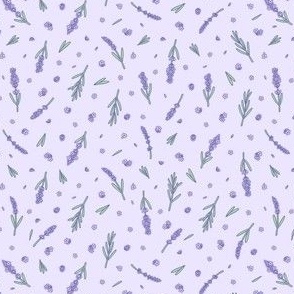 French Lavander (small size)