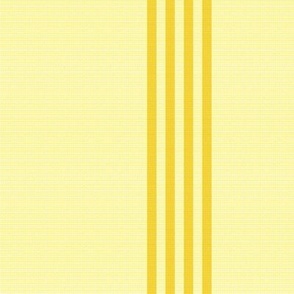 border_4-stripe_yellow_gold