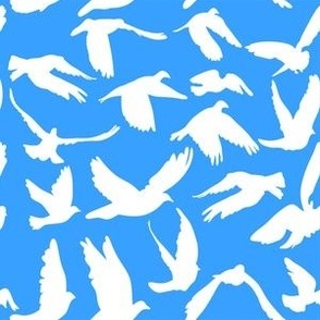 white Doves on blue background