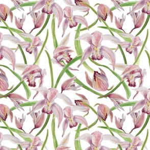 Orchids Pattern 1