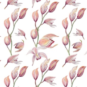 Orchids Pattern 2