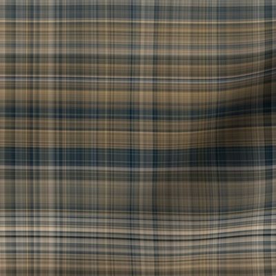 Traditional Gingham Check Pattern Rustic Masculine Country Style Smaller Scale