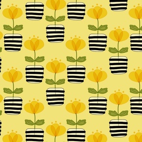 Yellow Buttercup Flowers in Black and White Stripe Pots on Yellow Medium
