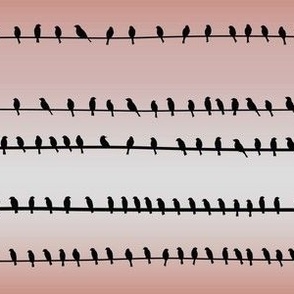 Birds Gossiping on a Wire