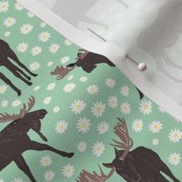 Moose in the Daisies, Mint Green