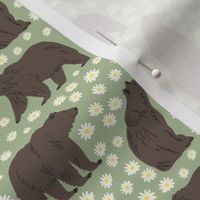 Bears in the Daisies, Willow Leaf Green