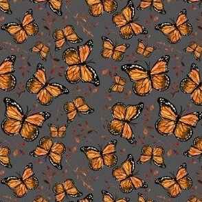 Monarch butterflies on grey / Orange Brown