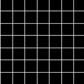 black window pane / plaid / white geometric