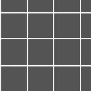 dark grey window pane