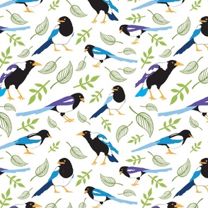 Magpies Pattern 1