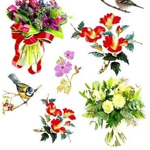 Des bouquets et des oiseaux multicolores sur fond blanc