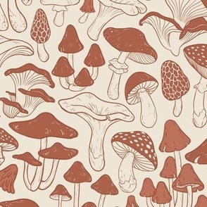 Mushroom in Terracotta