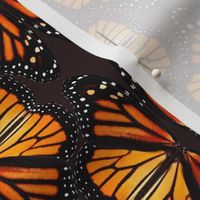 Orange Monarch Butterflies - Lifesize