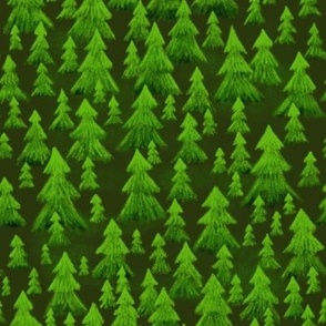Pine trees, green forest