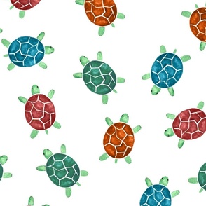 colourful turtles