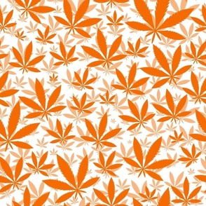 Bigger Scale Marijuana Cannabis Leaves Carrot Orange on White