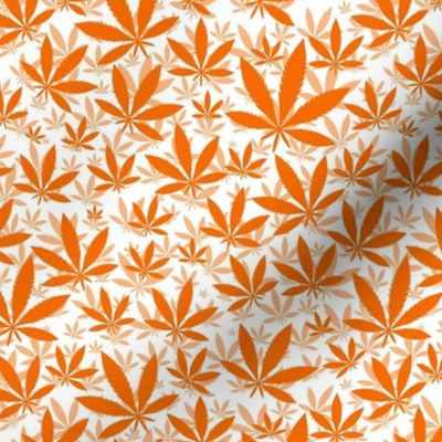 Smaller Scale Marijuana Cannabis Leaves Carrot Orange on White