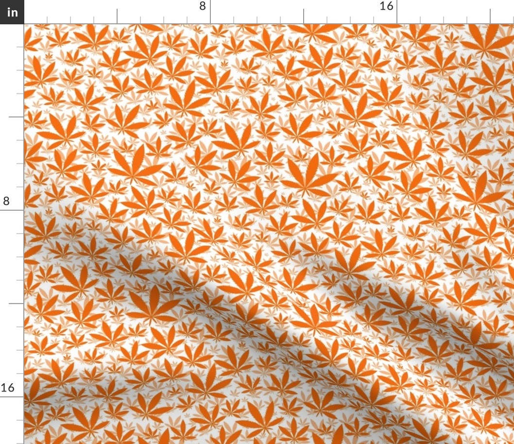 Smaller Scale Marijuana Cannabis Leaves Carrot Orange on White